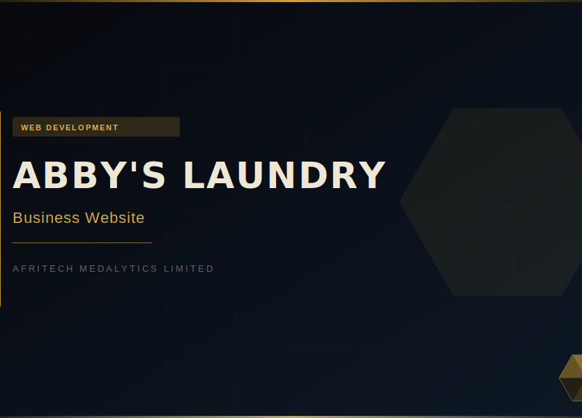 project_abbys_laundry